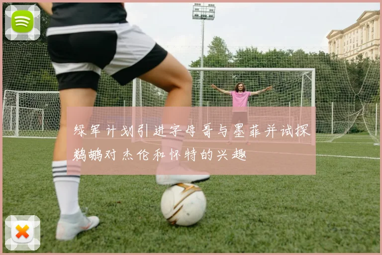 绿军计划引进字母哥与墨菲并试探鹈鹕对杰伦和怀特的兴趣